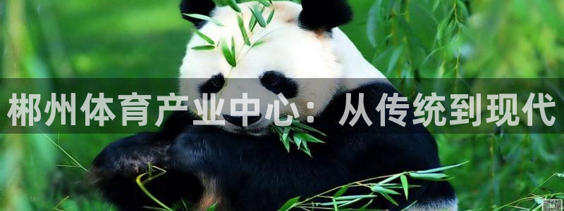 意昂3集团简介