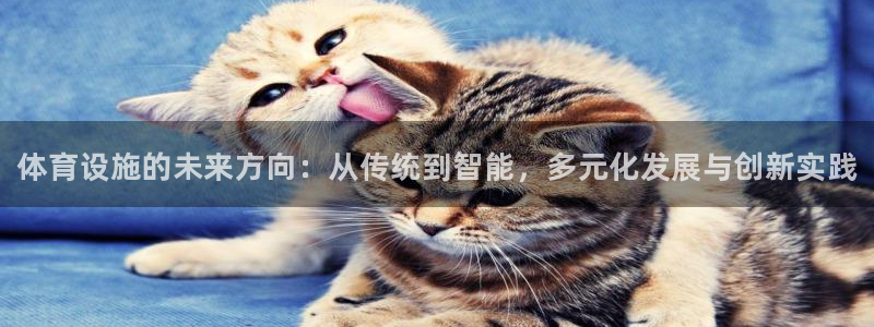 意昂3集团简介