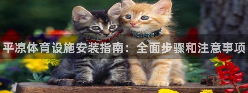意昂3开户：平凉体育设施安装指南：全面步骤和注意事项
