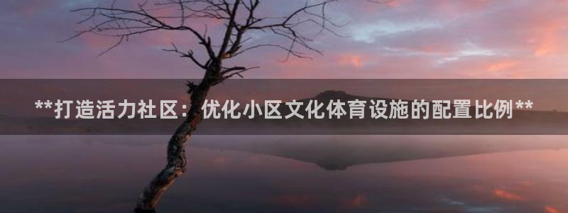 意昂3官方：**打造活力社区：优化小区文化体育设施的配置比例 