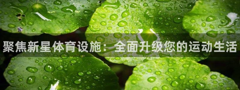意昂3集团E.ON
