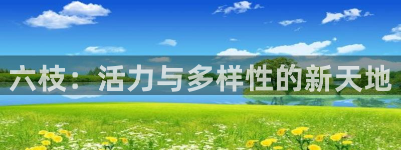 意昂3新能源：六枝：活力与多样性的新天地