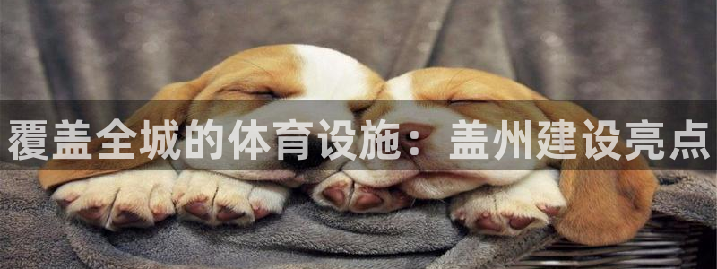 意昂体育3招商：覆盖全城的体育设施：盖州建设亮点
