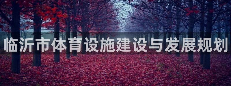 海南意昂体育3：临沂市体育设施建设与发展规划