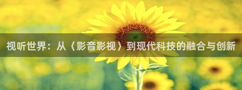 平民影院在线观看高清完整版免