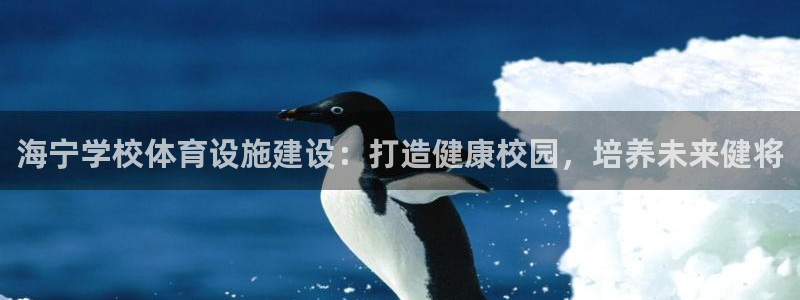 意昂体育3平台注册流程视频：海宁学校体育设施建设：打