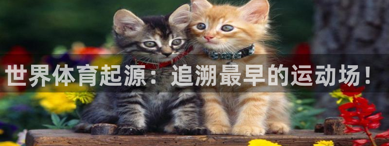 意昂体育3平台假的吗是真的吗吗：世界体育起源：追溯最
