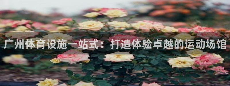 意昂3集团官网网址：广州体育设施一站式：打造体验卓越