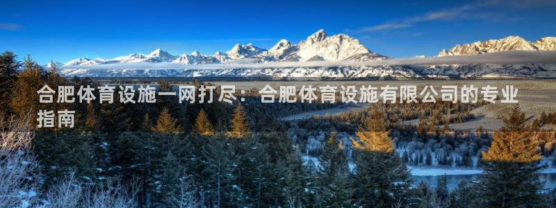 意昂体育3招商电话号码查询：合肥体育设施一网打尽：合