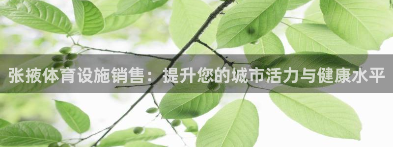 意昂体育3平台注册流程图：张掖体育设施销售：提升您的