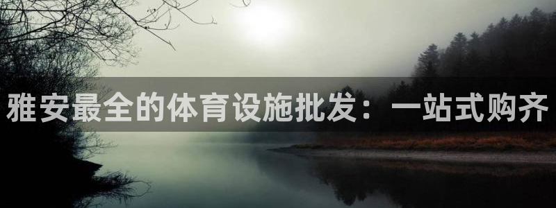 意昂3代理：雅安最全的体育设施批发：一站式购齐
