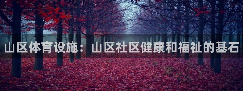 意昂3官方：山区体育设施：山区社区健康和福祉的基石