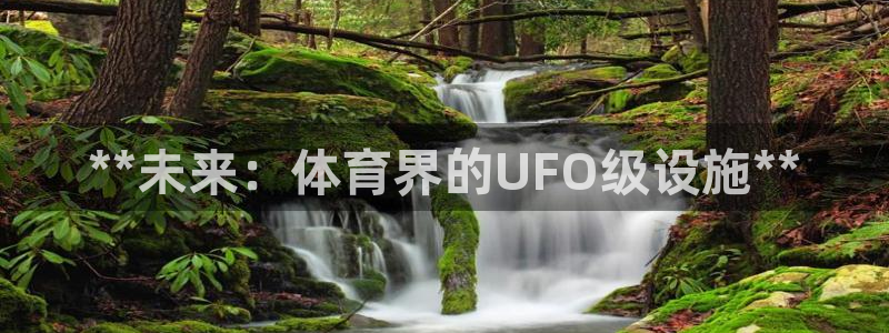 意昂3集团：**未来：体育界的UFO级设施**