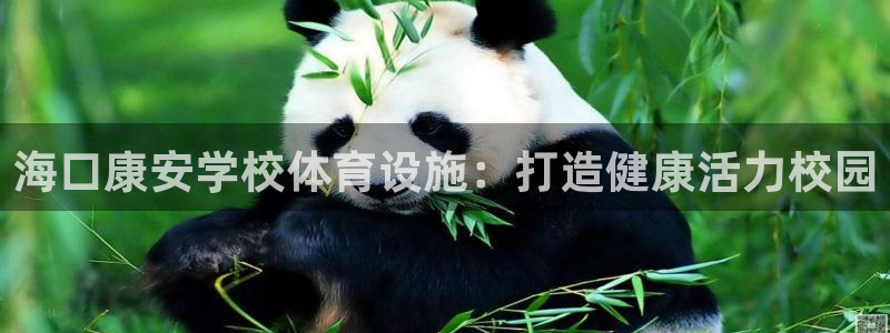 意昂体育3招商电话号码查询：海口康安学校体育设施：打