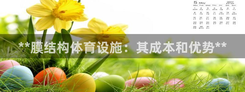 意昂3官方：**膜结构体育设施：其成本和优势**