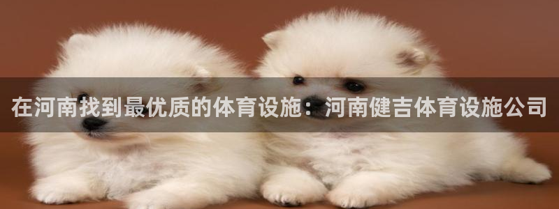 意昂3开户：在河南找到最优质的体育设施：河南健吉体育