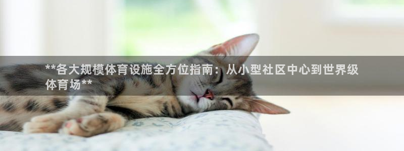 意昂平台体育：**各大规模体育设施全方位指南：从小型