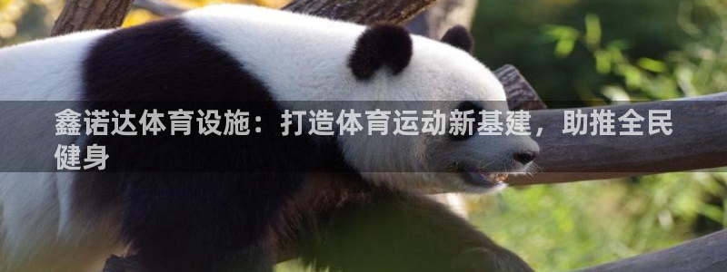 意昂3娱乐：鑫诺达体育设施：打造体育运动新基建，助推