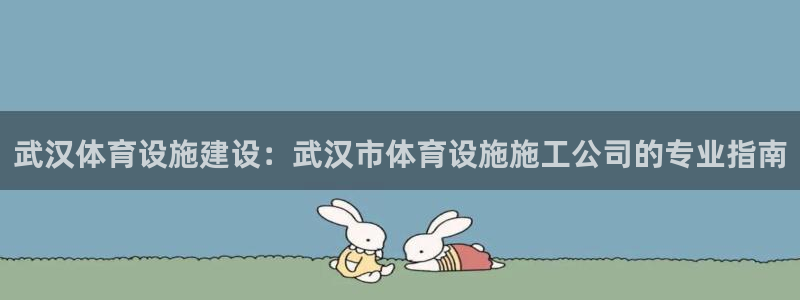 意昂体育3平台注册流程图：武汉体育设施建设：武汉市体