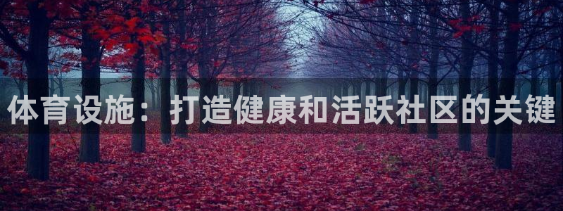 意昂3娱乐代理怎么样：体育设施：打造健康和活跃社区的