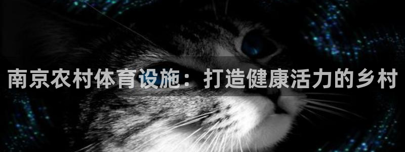 意昂体育3招商电话：南京农村体育设施：打造健康活力的