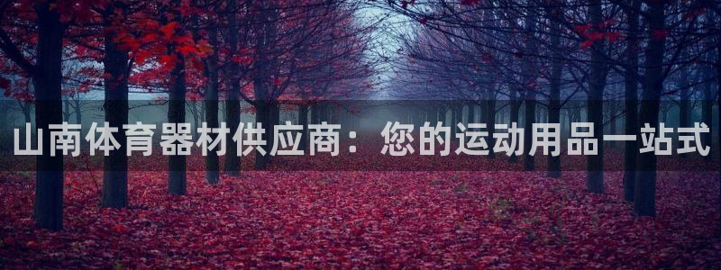 意昂体育3平台注册要钱吗安全吗：山南体育器材供应商：