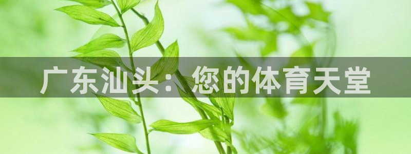 意昂体育3开户：广东汕头：您的体育天堂