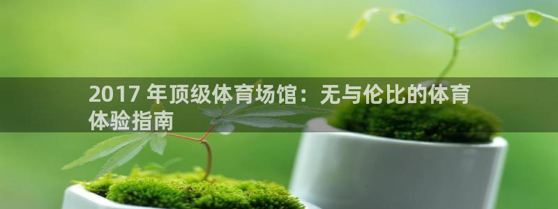 意昂体育3联系电话：2017 年顶级体育场馆：无与伦