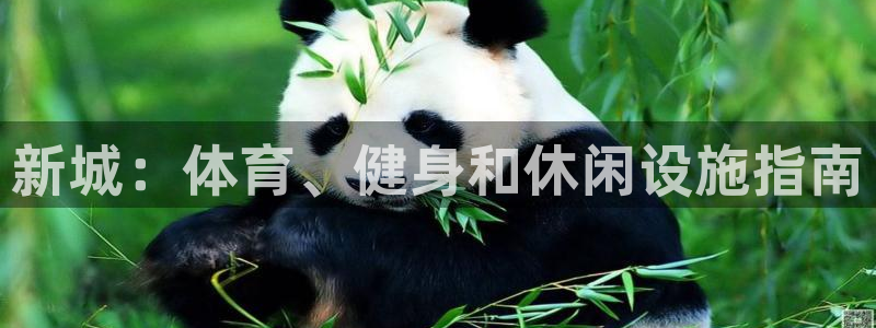 意昂体育3开户：新城：体育、健身和休闲设施指南