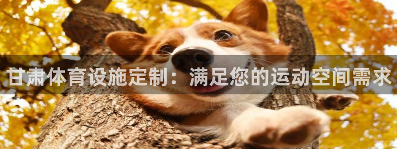 意昂3集团官网首页网址：甘肃体育设施定制：满足您的运