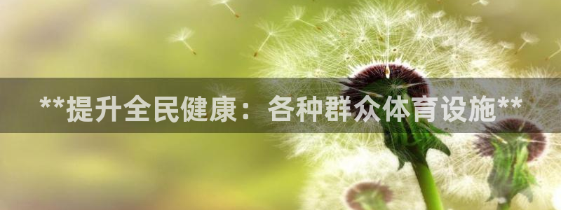 意昂体育3开户：**提升全民健康：各种群众体育设施*