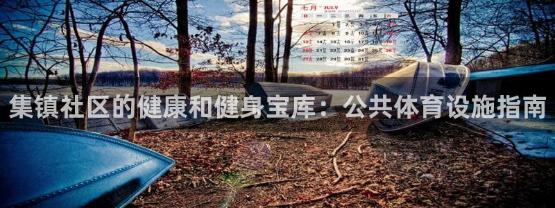 意昂体育3：集镇社区的健康和健身宝库：公共体育设施指