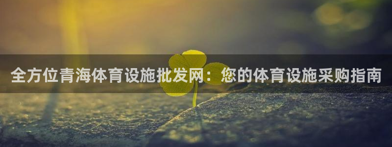 意昂体育3招商电话号码是多少：全方位青海体育设施批发
