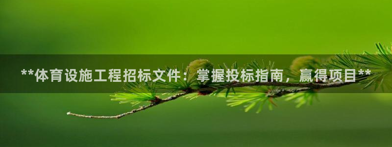 意昂体育3招商电话号码是多少：**体育设施工程招标文