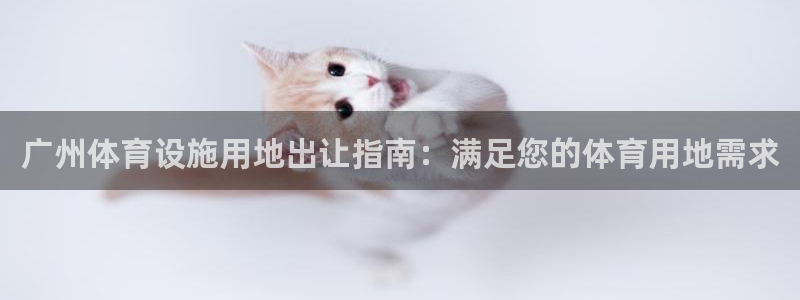 意昂体育3平台注册流程视频：广州体育设施用地出让指南