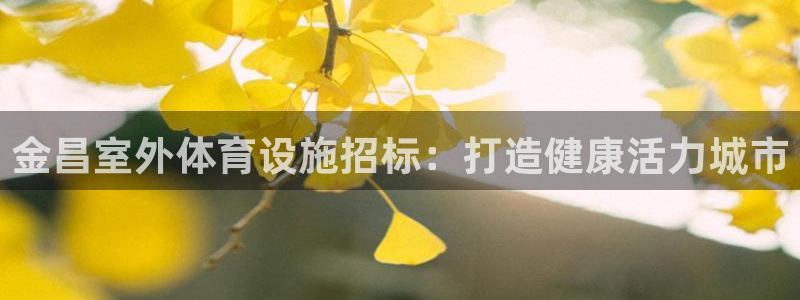 意昂体育3平台假的吗是真的吗吗：金昌室外体育设施招标