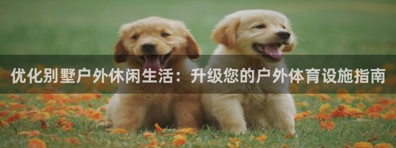 意昂3官方：优化别墅户外休闲生活：升级您的户外体育设