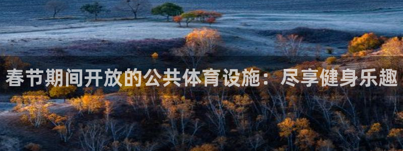 意昂体育3招商电话是多少：春节期间开放的公共体育设施