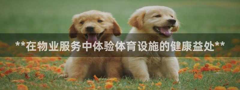 意昂3集团官网首页：**在物业服务中体验体育设施的健