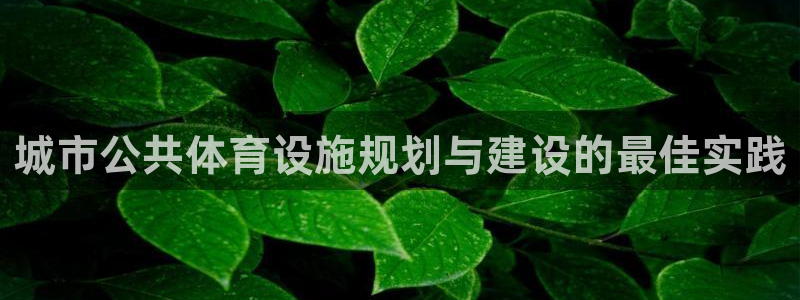 意昂3娱乐网站