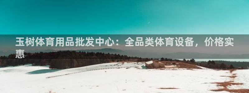 意昂3集团E.ON：玉树体育用品批发中心：全品类体育