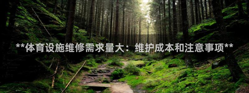 意昂3五金厂：**体育设施维修需求量大：维护成本和注