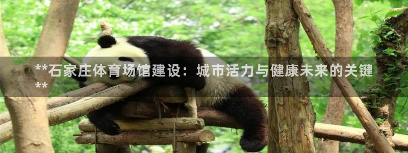 意昂体育3平台：**石家庄体育场馆建设：城市活力与健
