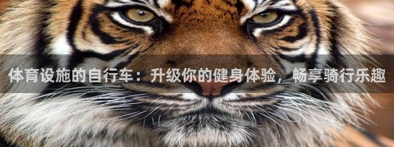 意昂体育3平台：体育设施的自行车：升级你的健身体验，