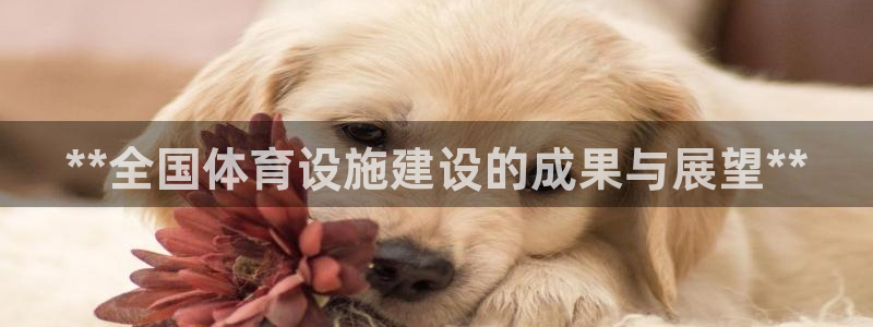 意昂3娱乐平台：**全国体育设施建设的成果与展望**
