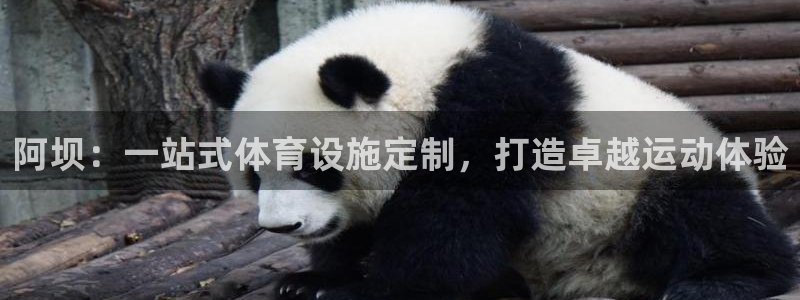 意昂3娱乐平台：阿坝：一站式体育设施定制，打造卓越运