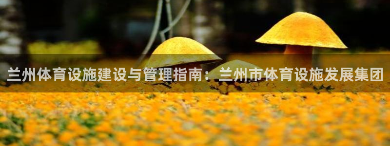 意昂体育3招商电话号码：兰州体育设施建设与管理指南：