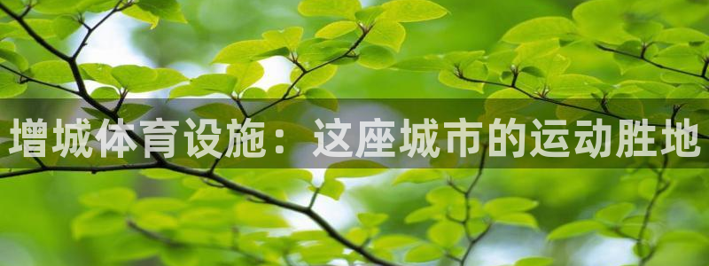 意昂体育3招商电话是多少号码：增城体育设施：这座城市