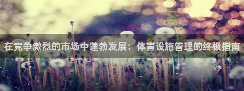 意昂体育3招商电话是多少号码：在竞争激烈的市场中蓬勃