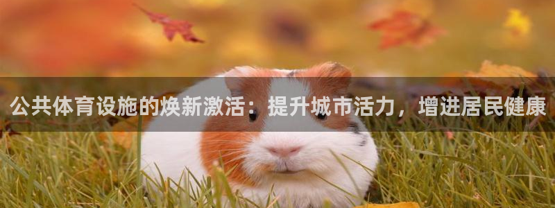 意昂体育3招商：公共体育设施的焕新激活：提升城市活力